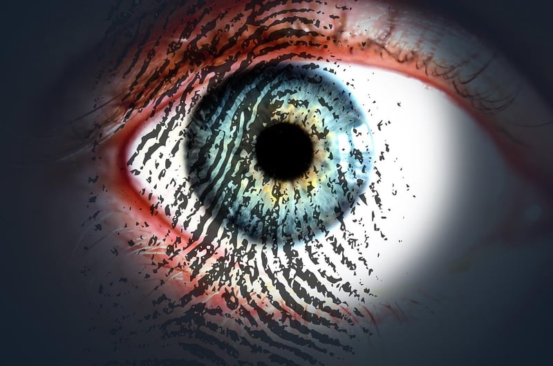 Custodians of Confidentiality
